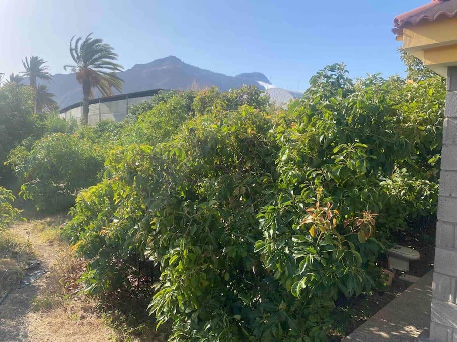 Villa Casita Lily à Las Palmas de Gran Canaria Extérieur photo