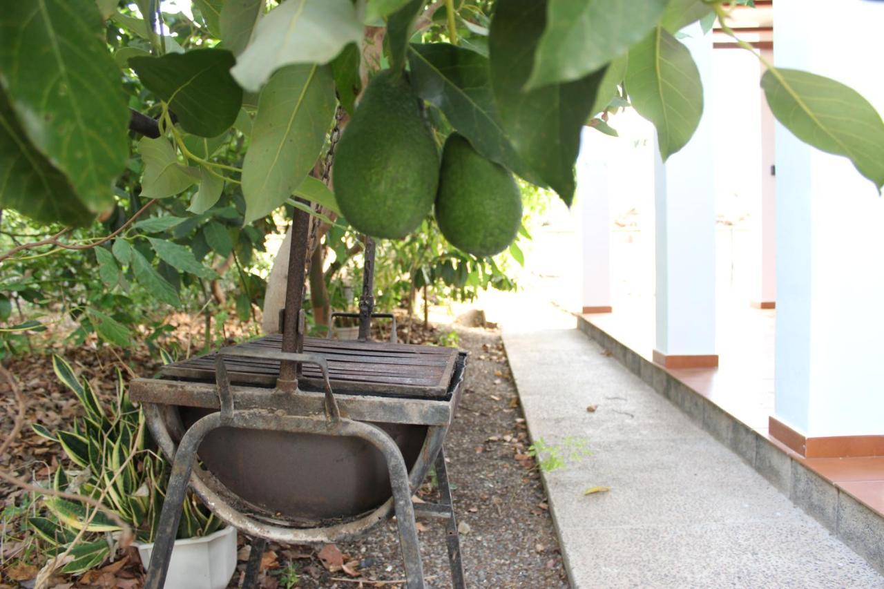Villa Casita Lily à Las Palmas de Gran Canaria Extérieur photo